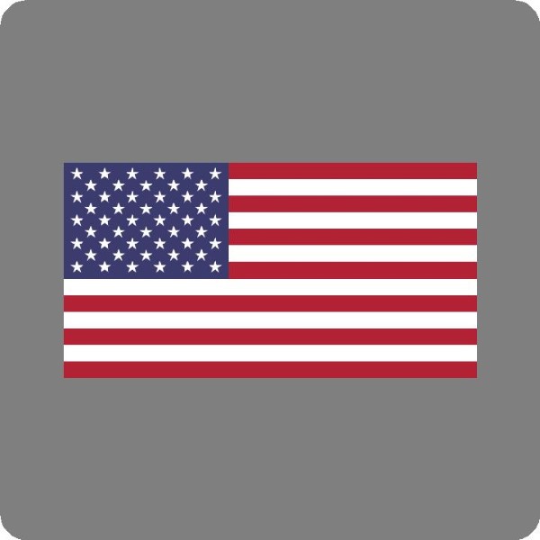 Printed USA Flag